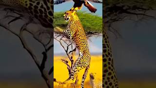 Bajne chite ko utha liyasort videoanimalnewtrendingviral2024 [upl. by Dadirac606]