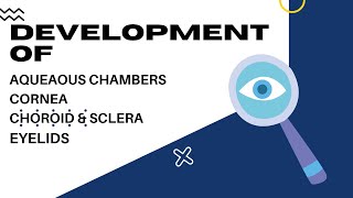 EMBRYOLOGY OF EYE DEVELOPMENT OF AQUEAOUS CHAMBERSCORNEACHOROID amp SCLERAEYELIDS [upl. by Enahsed568]