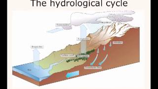 Edexcel GCSE Geography  The Hydrological Cycle [upl. by Ciprian]