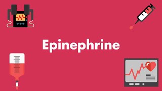 Epinephrine  Vasopressors amp Inotropes  MEDZCOOL [upl. by Hun]