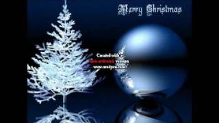 Selena Gomez Christmas songsppb [upl. by Sweyn]