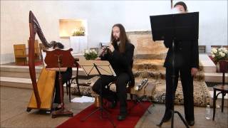 Stella splendens Llibre Vermell Concert SainteClaire 1414 [upl. by Avictor]