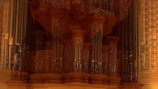 Dieterich Buxtehude Toccata in F BuxWV 156 [upl. by Doralyn]