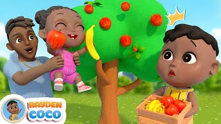 Apples And Bananas  Fruit So Yummy  RaydenCoco Nursery Rhymes amp Kids Songs [upl. by Hpsoj]