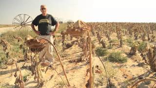 Recycling Water in the Negev Desert Israel [upl. by Trout]