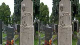 Der Ottakringer Friedhof in 3D [upl. by Ahsyle]