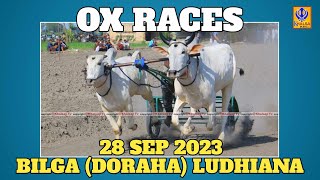 🔴Live Bilga  Near Doraha  Ludhiana  Ox Races 25 Sep 2023 [upl. by Yaeger]