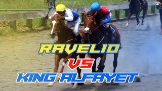 RAVELIO VS KING ALFAYET DUEL SENGIT  RAVELIO MENANG TIPIS  BATU KERETA STABLE [upl. by Risa]