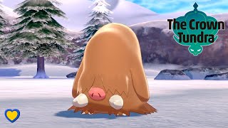 HOW TO GET Piloswine in Pokémon Sword and Shield [upl. by Nadeen302]