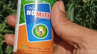 थ्रिप्स कैसे कन्ट्रोल करें  Thrips Control insecticide  TAG NO MITE  chilli [upl. by Ahseryt]