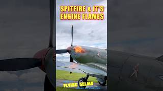 The Spitfire  Flames of the Griffon Engine shorts aviation [upl. by Kobi]