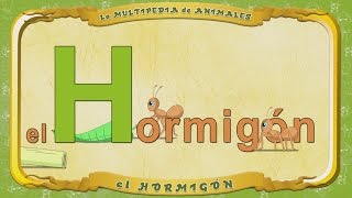 la Multipedia de animales Letra H  el Hormigón [upl. by Enilaf552]