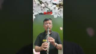 鳳飛飛 落花情 Clarinet 練習短片 [upl. by Caputto]