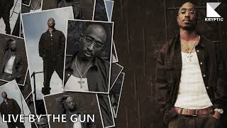 FREE 2Pac Type Beat  LIVE BY THE GUN  Produced by Kryptic tupac 2pac KRYPTIC [upl. by Ibrek321]