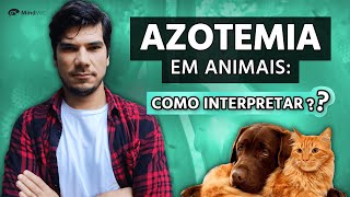 Como identificar e interpretar a azotemia nos animais [upl. by Macdougall]