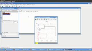 Cluster Ejemplo Malvinas con Infostat [upl. by Sewellyn]