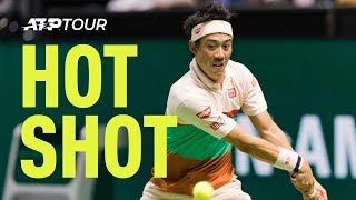 Hot Shot Nishikori Sails Gorgeous Lob over Fucsovics In Rotterdam 2019 [upl. by Sunil]