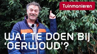 Welke keuzes maak je bij het snoeien  Snoeien  Tuinmanieren [upl. by Learsi708]