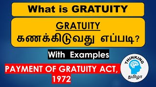 Gratuity explained in Tamil  how to calculate Gratuity [upl. by Ythomit]