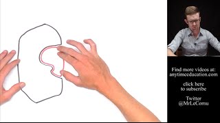 Induced Fit Model of Enzyme Action [upl. by Dnomar]