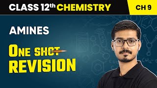 Amines  One Shot Revision  Class 12 Chemistry Chapter 9  CBSE 202425 oneshot [upl. by Clova]