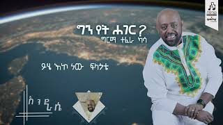 quotእንደራሴquot ግርማ ተፈራ  quotEnderasequot Girma Tefera visulaizer sewasewmultimedia [upl. by Anirehtac]