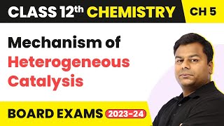 Mechanism of Heterogeneous Catalysis  Surface Chemistry  Class 12 Chemistry Chapter 5 IITJEENEET [upl. by Eetsirhc757]