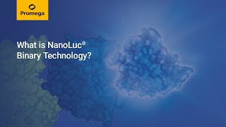 What is NanoLuc® Binary Technology What is NanoBiT® [upl. by Nelram]