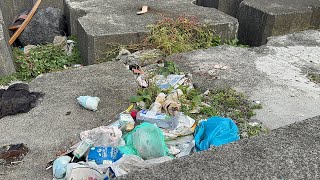 Rabo de Peixe Garbage and Drugs Sao Miguel Azores Portugal  07102024 [upl. by Magbie]