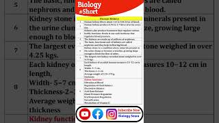 Function of Human kidney  Human Kidney  Kidney Facts [upl. by Ayanat]