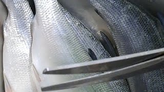 Milkfish Scaling Slicing Aling tindera vlogs [upl. by Anyrak]