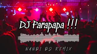 DJ Parapapa   NVNDI DJ Remix [upl. by Inimod]