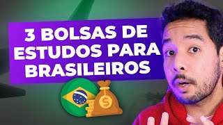 3 BOLSAS DE ESTUDOS QUE TODO BRASILEIRO PODE CONQUISTAR  estudar no exterior [upl. by Yllitnahc387]