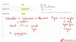 alphaamylase synthesis is promoted by [upl. by Ahsilahk]