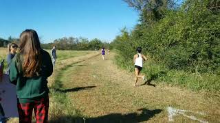 Chemz 5K Cross Country Regional Championship [upl. by Gilcrest]