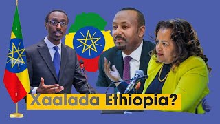 DAG XAALAD CULUS DDS ETHIOPIA OO DOONAYSA IN AY TALAABO UQAADO DHANKA TOP NEWS [upl. by Atok408]