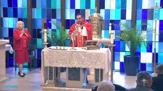 Nativity Catholic Church Live Stream [upl. by Nivanod]