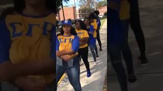 LemoyneOwen College Sigma Gamma Rhos 💙💛🐩 [upl. by Harias171]