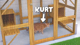 Building Kurts Dream Catio [upl. by Otina]