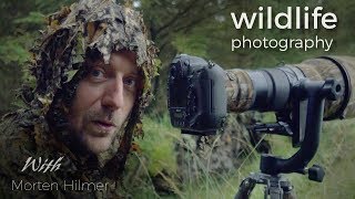 RED DEER  WILDLIFE PHOTOGRAPHY  behind the scenes vlog with wildlife photographer Morten Hilmer [upl. by Yadnus]