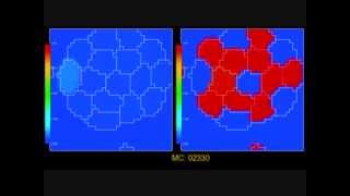 Cell Cycle  Delta Notch Signaling [upl. by Yrro]