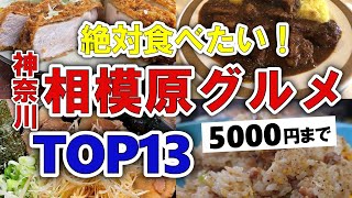 【今すぐ行きたい！】相模原神奈川グルメランキングTOP13｜ランチにおすすめの穴場・中華・とんかつなど【5000円以下】 [upl. by Ylenats]