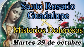 Rosario a Virgen de Guadalupe Hoy martes 29 de octubre 2024🙏🤲  Misterios Dolorosos  Guadalupano [upl. by Amann]