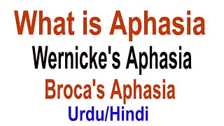 What is Aphasia  Brocas Aphasia Wernickes Area Brocas Area  UrduHindi [upl. by Nomzzaj]