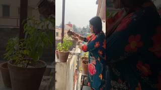 priyankastimestory treanding youtubeshorts bengalivlog trees plants positivevibesdepression [upl. by Secor]