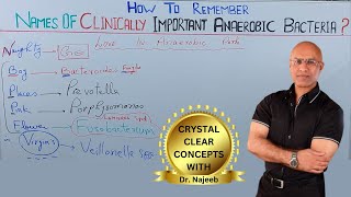 Names Of Clinically Important Anaerobic Bacteria 🦠 [upl. by Montagu461]
