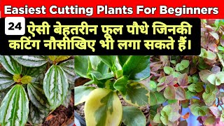 24 Easiest Cutting Plants For Beginners  How To Propagate Cutting Plants  Easy Cutting Plants Name [upl. by Bedell]