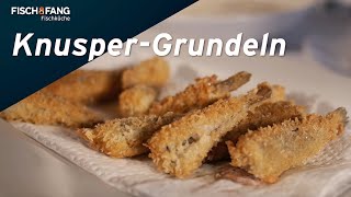 FischKüche KnusperGrundeln mit Jörg Strehlow [upl. by Markus985]