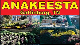 Anakeesta Gatlinburg TN October 2023 HD 1080p [upl. by Roydd]