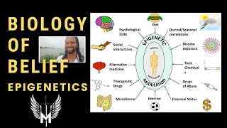 What is Epigenetics   DNA ACTIVATION ● Subconscious Programs ● Dr Bruce Lipton Michael DellaRocca [upl. by Durr]